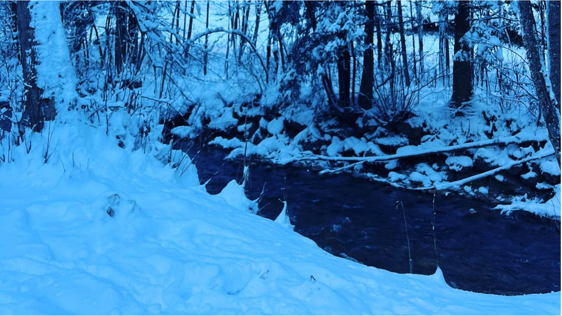Comment bien s’équiper pour courir dans le froid ?